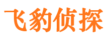 扎囊市婚姻出轨调查